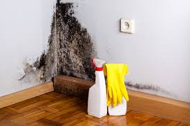 Best Commercial Mold Inspection  in Grandview, OH